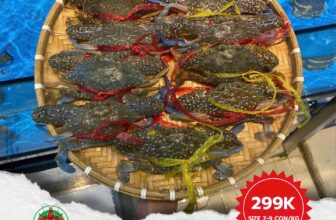 [🆕🇻🇳] Titi Seamarket – Cửa hàng hải sản tiện lợi ngon sạch 🍔 Top1Food  🍜 Ghẹ xanh mới về
Size  7-9 giá  299k
Size  5-7 giá 399k
Size  3-5 giá  499k
, shares-1✔️ , likes-8❤️️ , date-2025-07-24 20:05:22🇻🇳🇻🇳🇻🇳📰🆕