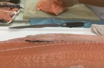 [🆕🇻🇳] Cá Hồi NaUy GT Thái Nguyên – Cá hồi tươi nhập khẩu trực tiếp từ Nauy bằng máy bay 🍔 Top1Food  🍜  , shares-0✔️ , likes-1❤️️ , date-2025-07-21 13:26:55🇻🇳🇻🇳🇻🇳📰🆕