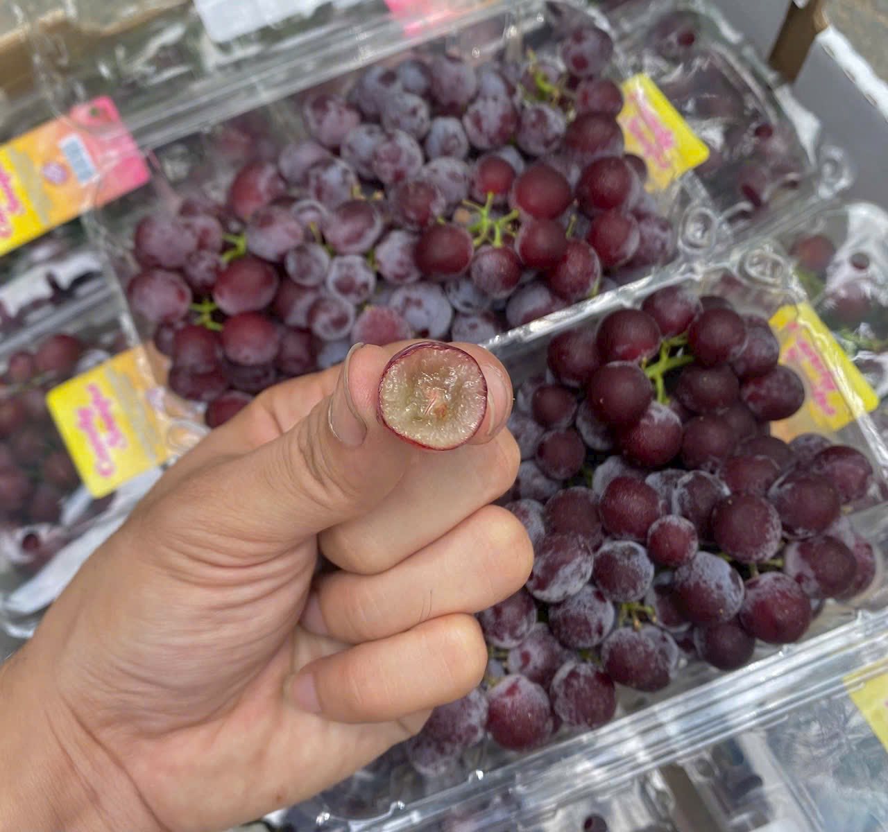 [🆕🇻🇳] Aoi – Sản phẩm Mẹ & Bé  , Aoi – Sản phẩm Mẹ & Bé 🧑‍🧒❤️️👶⭐️  AOI ĐỒNG HÀNH CÙNG MẸ BỈM HÀ NỘITrên mảnh đất Thường Tín, Phú Xuyên, Mỹ Đức, Ứng Hòa, Thanh Oai và Chương Mỹ,… Aoi đã thầm lặng mang đến ba mẹ những  , shares-0✔️ , likes-5❤️️ , date-2025-07-24 22:27:15🇻🇳🇻🇳🇻🇳📰🆕