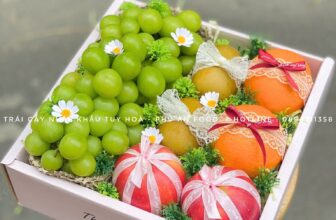 [🆕🇻🇳] Trái Cây Nhập Khẩu Tuy Hoà-Phú An Food 🍔 Top1Food  🍜 GIỎ TRÁI CÂY TƯƠI – MÓN QUÀ CHO SỨC KHỎE & YÊU THƯƠNG
Tươi ngon – Tinh tế – Sang trọng
Mỗi giỏ trái cây tạiTrái Cây Nhập Khẩu Tuy Hoà-Phú An Food không c , shares-0✔️ , likes-1❤️️ , date-2025-07-23 21:26:34🇻🇳🇻🇳🇻🇳📰🆕