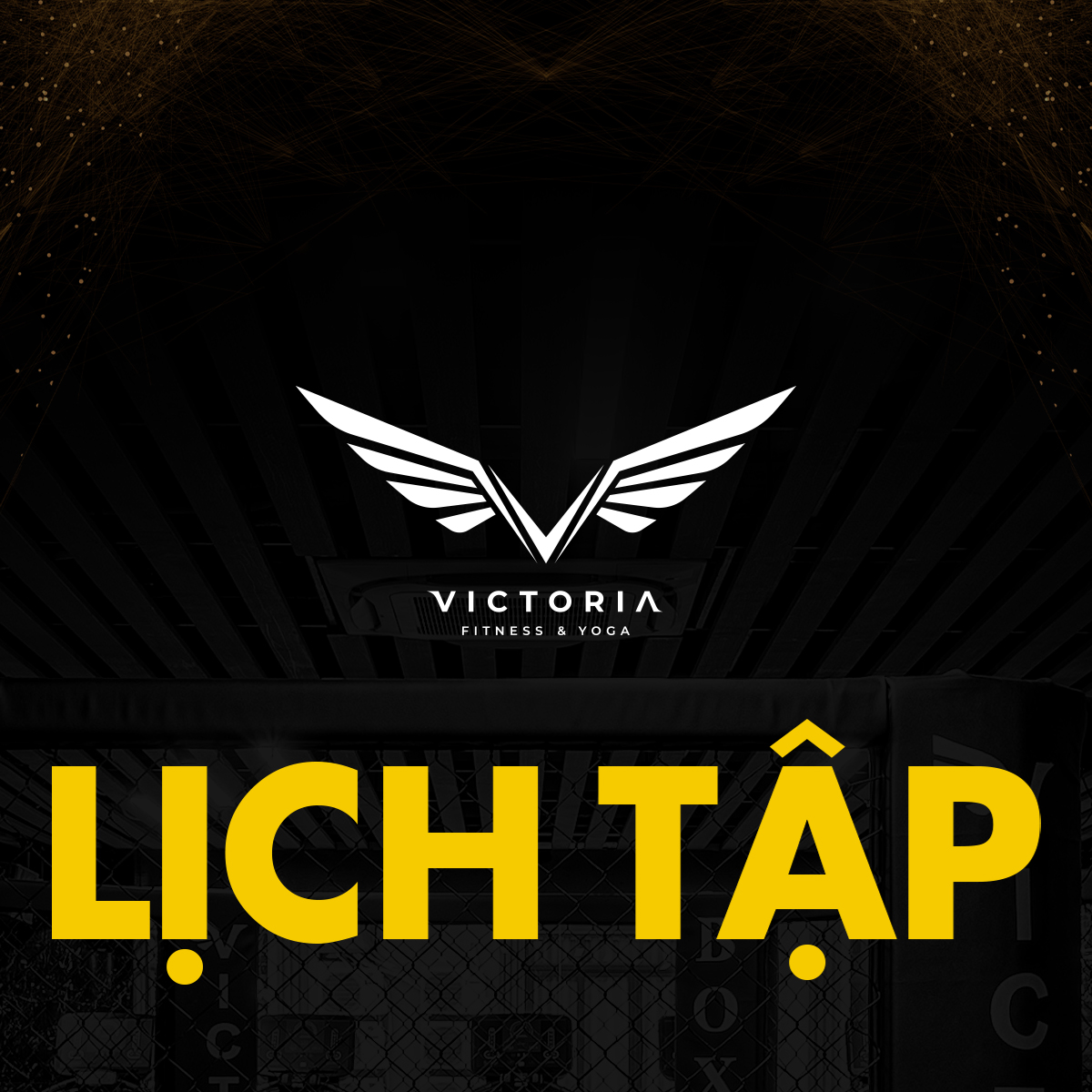 [🆕🇻🇳]  Chuyên sỉ lẻ đồ ồ bà ba bé 🧑‍🧒❤️️👶⭐️  , shares-0✔️ , likes-0❤️️ , date-🇻🇳🇻🇳🇻🇳📰🆕