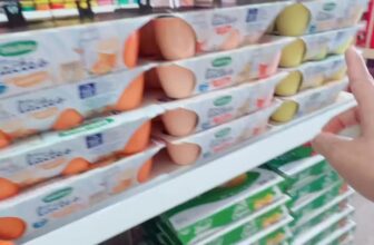 [🆕🇻🇳] Shop Bảo Bối – Mẹ Bầu và Em Bé Bảo Bối: Sữa – Tã – TPCN – ĐỒ CHƠI – ĐỒ DÙNG – COMBO ĐI SINH  🧑‍🧒❤️️👶⭐️ Sữa chua Bledina – một trong những sản phẩm ăn dặm mà Bảo Bối cực kỳ thích#xuhuong #trend #bateoriviu #shopbaoboi #bledina #suachuabledina , shares-0✔️ , likes-3❤️️ , date-2025-07-25 20:30:47🇻🇳🇻🇳🇻🇳📰🆕