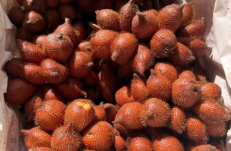 [🆕🇻🇳] Thảo Nhi Fruits – Chuyên cung cấp các loại thực phẩm sạch an toàn cho sức khoẻ 🍔 Top1Food  🍜 Mây đường Thái – ngọt#80k/kg___________
KHU THƯƠNG MẠI, TẦNG TRỆT, căn TM014, Toà nhà Ani, ( cc osimi) 688/57/42 Lê Đức Thọ, p.15, Gò Vấp
/zalo: 0903 , shares-0✔️ , likes-0❤️️ , date-2025-07-24 05:33:51🇻🇳🇻🇳🇻🇳📰🆕