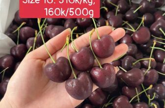 [🆕🇻🇳] Lefarms – Cửa hàng tiện lợi 🍔 Top1Food  🍜 RỘN RÀNG TRÁI CÂY TƯƠI MỚI
LEFARMS MỜI KHÁCH THAM KHẢO Ạ
, shares-1✔️ , likes-8❤️️ , date-2025-07-24 16:42:57🇻🇳🇻🇳🇻🇳📰🆕