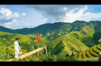 HLV Victor Hoàng – Trọng Tài Yoga Quốc Gia – HLV Yoga Nâng Cao  🧘Top1Yoga🧘  Happy birthday to me  , shares-0✔️ , likes-0❤️️ , date-2025-09-24 01:08:39🇻🇳🇻🇳🇻🇳📰🆕