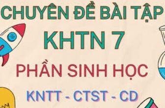 [🆕🇻🇳] Tailieu247.net – Chuyên tài liệu file word 📚 Top1Learn 📕 CHUYÊN ĐỀ BÀI TẬP CHÍNH KHÓA, DẠY THÊM KHTN 9 – PHẦN SINH HỌC – CẢ NĂM (chung 3 sách KẾT NỐI TRI THỨC – CHÂN TRỜI SÁNG TẠO – CÁNH DIỀU) BỘ TÀI LIỆU BIÊN SO , shares-0✔️ , likes-0❤️️ , date-2025-09-24 16:12:31🇻🇳🇻🇳🇻🇳📰🆕