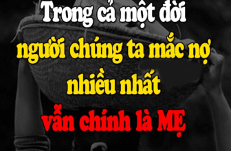 [🆕🇻🇳] Xưởng May Nhà Nga – Cửa hàng quần áo 👕 Top1Fashion 👗  Bình luận đã bị tắt cho bài viết này.
, shares-1✔️ , likes-9❤️️ , date-2022-07-28 01:02:00🇻🇳🇻🇳🇻🇳📰🆕