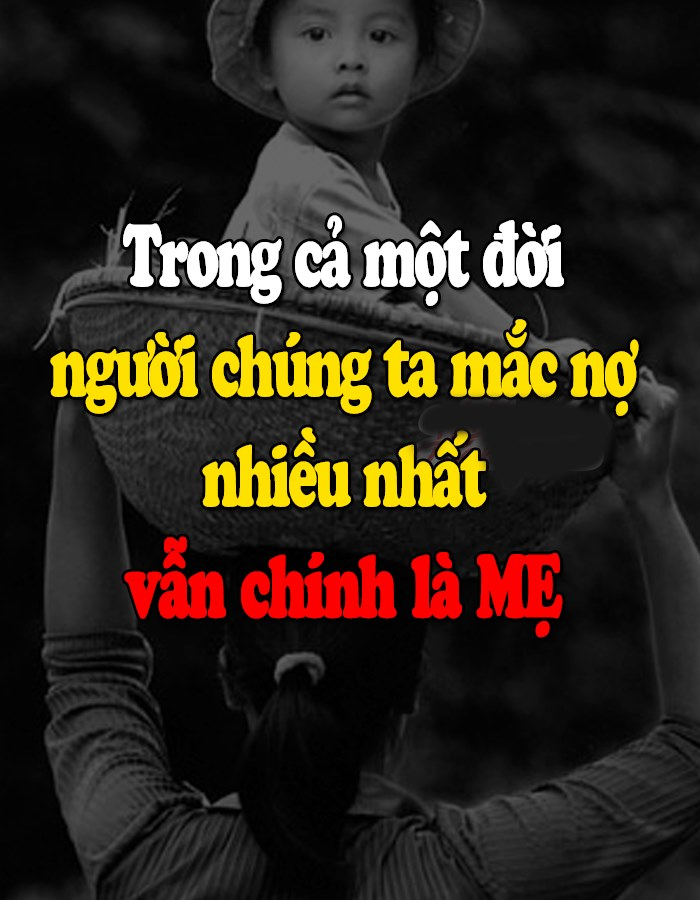 [🆕🇻🇳] Xưởng May Nhà Nga – Cửa hàng quần áo 👕 Top1Fashion 👗  Bình luận đã bị tắt cho bài viết này.
, shares-1✔️ , likes-9❤️️ , date-2022-07-28 01:02:00🇻🇳🇻🇳🇻🇳📰🆕