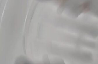 [🆕🇻🇳] EMY STORE 👕 Top1Fashion 👗   , shares-0✔️ , likes-0❤️️ , date-🇻🇳🇻🇳🇻🇳📰🆕