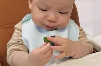 [🆕🇻🇳] Shop Bé Cơm 🧑‍🧒❤️️👶⭐️  , shares-0✔️ , likes-0❤️️ , date-🇻🇳🇻🇳🇻🇳📰🆕