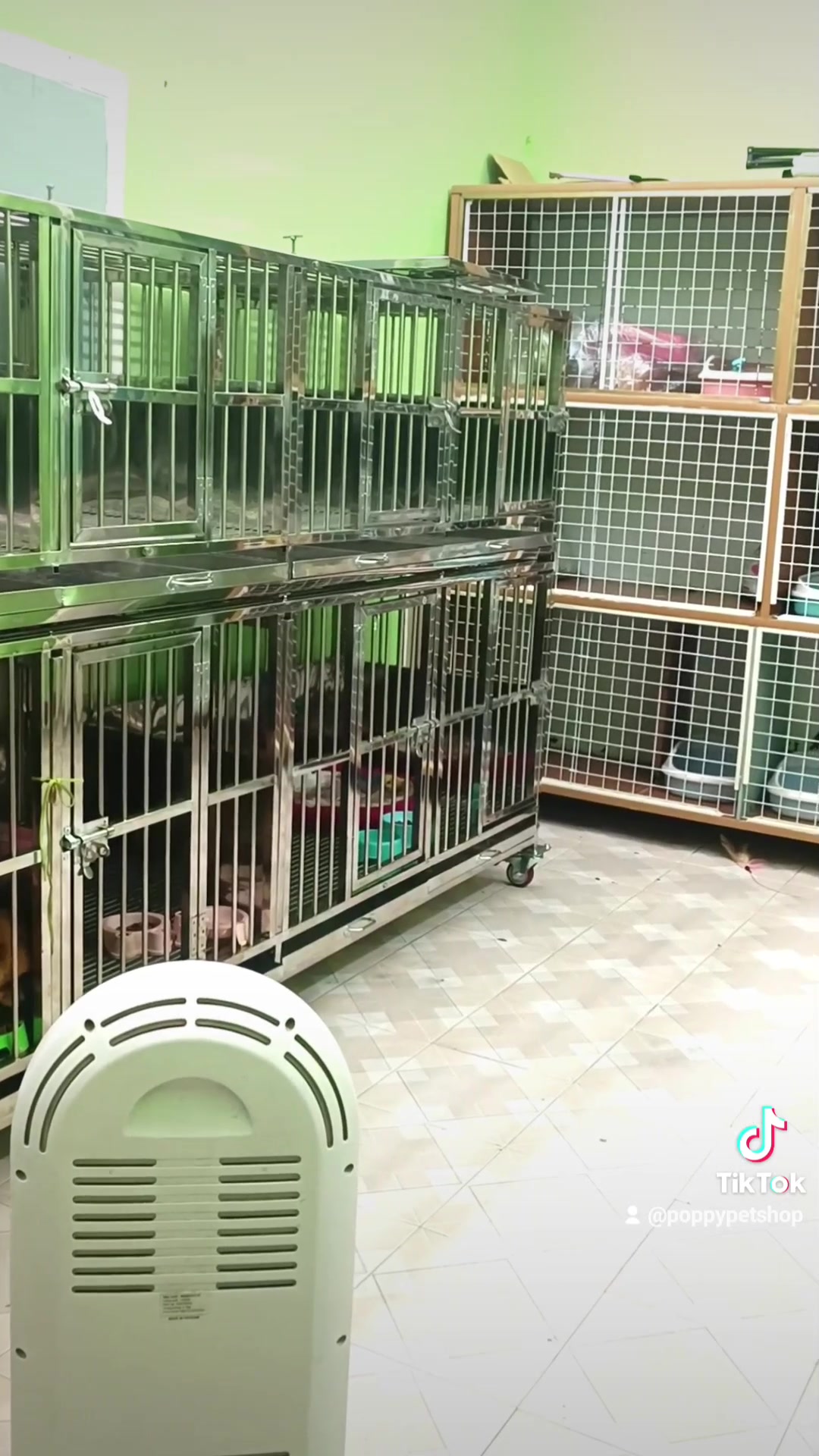 [🆕🇻🇳] Poppy Pet – Phụ kiện, Spa, Phòng Khám Thú Y Long Biên 🐶🦜 Top1Pets 🐱🐠  , shares-0✔️ , likes-0❤️️ , date-🐶🐱🇻🇳🇻🇳🇻🇳📰🆕