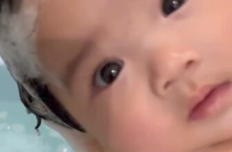 [🆕🇻🇳]  Little Dragon Baby Care Vietnam – 🌿 Sản phẩm chăm sóc da em bé hoàn toàn từ thiên nhiên và Made in New Zealand 🧑‍🧒❤️️👶⭐️ Với hương hoa oải hương thơm nhẹ dễ chịu, giờ tắm sẽ như giờ spa cho bé khi mẹ sử dụng Sữa tắm gội Little Dragon  Bé tí nhưng người ta cũng thích đi spa ch , shares-0✔️ , likes-0❤️️ , date-2024-03-16 04:27:54🇻🇳🇻🇳🇻🇳📰🆕