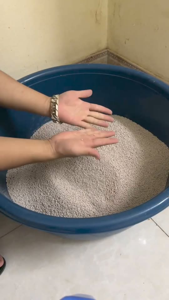 [🆕🇻🇳] Cát vệ sinh và Thức ăn chó mèo Hạ Long 🐶🦜 Top1Pets 🐱🐠 𝟒 TIPS 𝐒Ử 𝐃Ụ𝐍𝐆 𝐂Á𝐓 𝐌È𝐎 𝐇𝐈Ệ𝐔 𝐐𝐔Ả – 𝐓𝐈Ế𝐓 𝐊𝐈Ệ𝐌Nếu Sen đang gặp tình trạng:
Cát nhanh hết sau một thời gian ngắn sử dụng
Không biết đổ lượng cát như thế nà , shares-0✔️ , likes-1❤️️ , date-2024-05-10 04:30:15🐶🐱🇻🇳🇻🇳🇻🇳📰🆕