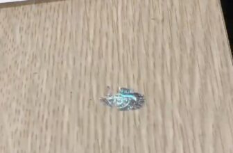 [🆕🇻🇳] Xưởng in tem 7 màu – tem vỡ – các loại tem nhãn (in ấn 2) 🎨 Top1Designs ✨  \ud83c\udf41tem Hologram 3D m\u00e0u th\u01b0\u01a1ng hi\u1ec7u, ch\u1ed1ng gi\u1ea3\ud83c\udf41\n- Chuy\u00ean d\u00f9ng b\u1ea3o h\u00e0nh cho c\u00e1c s , shares-31✔️ , likes-916❤️️ , date-2024-05-27 22:23:07🇻🇳🇻🇳🇻🇳📰🆕