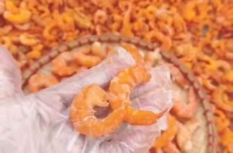 [🆕🇻🇳] Vựa Tôm Cô Ba – Chuyên Sỉ và Lẻ Các loại khô bao giá thị trường 🍔 Top1Food  🍜 T\u00d4M KH\u00d4 NH\u00c0 L\u00c0M ( \u0110\u1eb7c S\u1ea3n Qu\u00ea H\u01b0\u01a1ng )\n- 500 gam = 199k ( Bao gi\u00e1 tr\u01b0\u1eddng )\n- 1 kg = 398k  , shares-99✔️ , likes-51K❤️️ , date-2024-07-16 04:22:10🇻🇳🇻🇳🇻🇳📰🆕