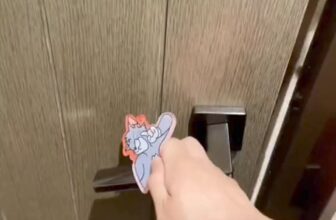 [🆕🇻🇳]  Moon Kids – Lớn khôn cùng bé – chuyên cung cấp chăn, phụ kiện cho trẻ em với các chất liệu an toàn và đẹp đẽ 🧑‍🧒❤️️👶⭐️  , shares-0✔️ , likes-0❤️️ , date-🇻🇳🇻🇳🇻🇳📰🆕