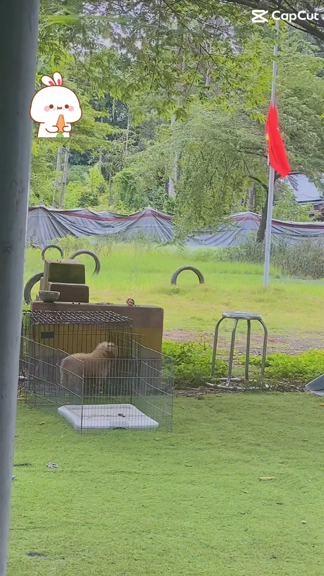 [🆕🇻🇳] MaruHouse – Thời Trang Trẻ Em 🧑‍🧒❤️️👶⭐️ 𝑽𝒐̂ 𝒎𝒖̀𝒂 đ𝒊 𝒉𝒐̣𝒄 𝒕𝒉𝒊̀ 𝒎𝒂̂́𝒚 𝒔𝒆𝒕 𝒏𝒂̀𝒚 𝒄𝒖̛̣𝒄 𝒄𝒉𝒂́𝒚 𝒍𝒖𝒐̂𝒏 𝒎𝒂𝒎𝒊 𝒐̛𝒊!
shopee:Set áo trắng thô kèm quần ống xuông phối ren cột nơ siêu xinh
Sét đi học đi ch , shares-0✔️ , likes-0❤️️ , date-2024-07-31 23:16:43🇻🇳🇻🇳🇻🇳📰🆕