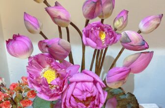 [🆕🇻🇳] Kho Buôn Hương Lê – Nhà máy sản xuất buôn lô hàng VNXK-Xuất dư,Oder hàng QCCC 👕 Top1Fashion 👗  Chẳng mong gì ngoài mong đc phước thân tâm an lạc
Mùa dịch nhà nhà cày cuốc còn em nghỉ vì muốn rèn luyện cái sân,cái si đang cuồn cuộn trong người đó quý  , shares-2✔️ , likes-28❤️️ , date-2021-09-08 06:12:31🇻🇳🇻🇳🇻🇳📰🆕