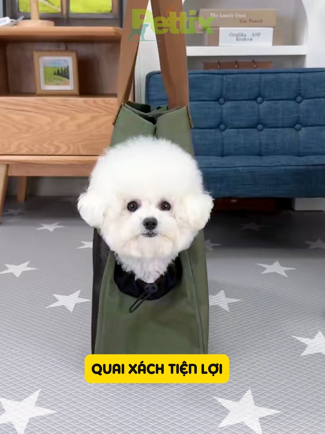 [🆕🇻🇳]Pettix – Chăm Sóc Thú Cưng 🐶🦜 Top1Pets 🐱🐠 Bu1ea1n muu1ed1n mang cu01b0ng u0111i du00e3 ngou1ea1i mu00e0 vu1eabn u0111u1ea3m bu1ea3o an tou00e0n, tiu1ec7n lu1ee3i vu00e0 phong cu00e1 , shares-5✔️ , likes-232❤️️ , date-2025-02-04 17:53:35🐶🐱🇻🇳🇻🇳🇻🇳📰🆕