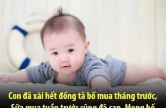 [🆕🇻🇳] Shop Con Cưng chuyên cung cấp bán buôn bán lẻ quần áo trẻ em 🧑‍🧒❤️️👶⭐️ Thư gửi bố
, shares-2✔️ , likes-8❤️️ , date-2022-06-05 18:32:39🇻🇳🇻🇳🇻🇳📰🆕