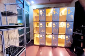 [🆕🇻🇳] Na&Moon pet – Spa , đồ dùng cho thú cưng 🐶🦜 Top1Pets 🐱🐠 Nghỉ lễ dài ngày du lịch, về quê ko biết gửi các con ở đâu.. ?
Homestay thú cưng chỉ từ 60kNa&Moon pet nhận trông giữ và chăm sóc các bé cho ba mẹ yên t , shares-9✔️ , likes-88❤️️ , date-2024-01-16 18:17:27🐶🐱🇻🇳🇻🇳🇻🇳📰🆕