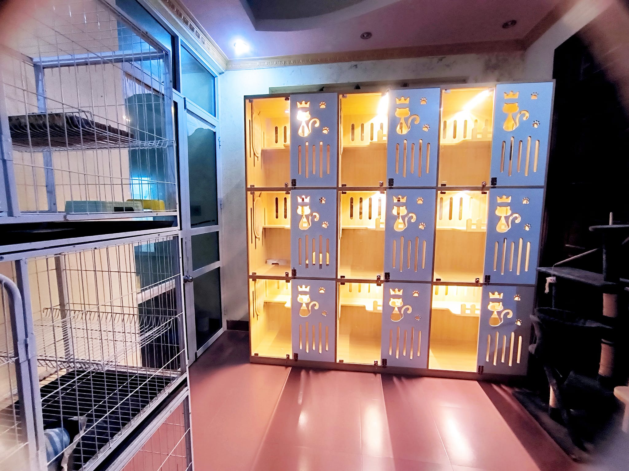 [🆕🇻🇳] Nhà Cua – Thời Trang Em Bé – Chuyên Hàng Nội Địa Trung 🧑‍🧒❤️️👶⭐️  𝐅𝐥𝐚𝐬𝐡 𝐬𝐚𝐥𝐞 𝟏𝟓.𝟎𝟏Giày gấu nâu style Hàn siêu đáng yêu chỉ 1.0.0kSale Size 21-22-23-24𝗜𝗻𝗯𝗼𝘅 𝘀𝗵𝗼𝗽 𝘁𝘂̛ 𝘃𝗮̂́𝗻 𝗻𝗵𝗲́ : m.me/nhacuachild
𝗟𝗶𝗻𝗸 𝗚𝗿𝗼𝘂𝗽 𝗡𝗵𝗮 , shares-0✔️ , likes-1❤️️ , date-2024-01-15 02:16:39🇻🇳🇻🇳🇻🇳📰🆕