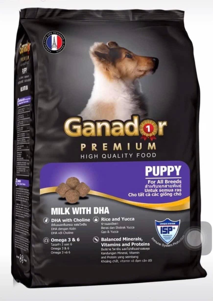 [🆕🇻🇳] Thú cưng xanh Nga Dương 🐶🦜 Top1Pets 🐱🐠 Về thêm Ganador hạt sữa& DHa
3kg ạ
, shares-0✔️ , likes-3❤️️ , date-2024-10-31 21:50:42🐶🐱🇻🇳🇻🇳🇻🇳📰🆕