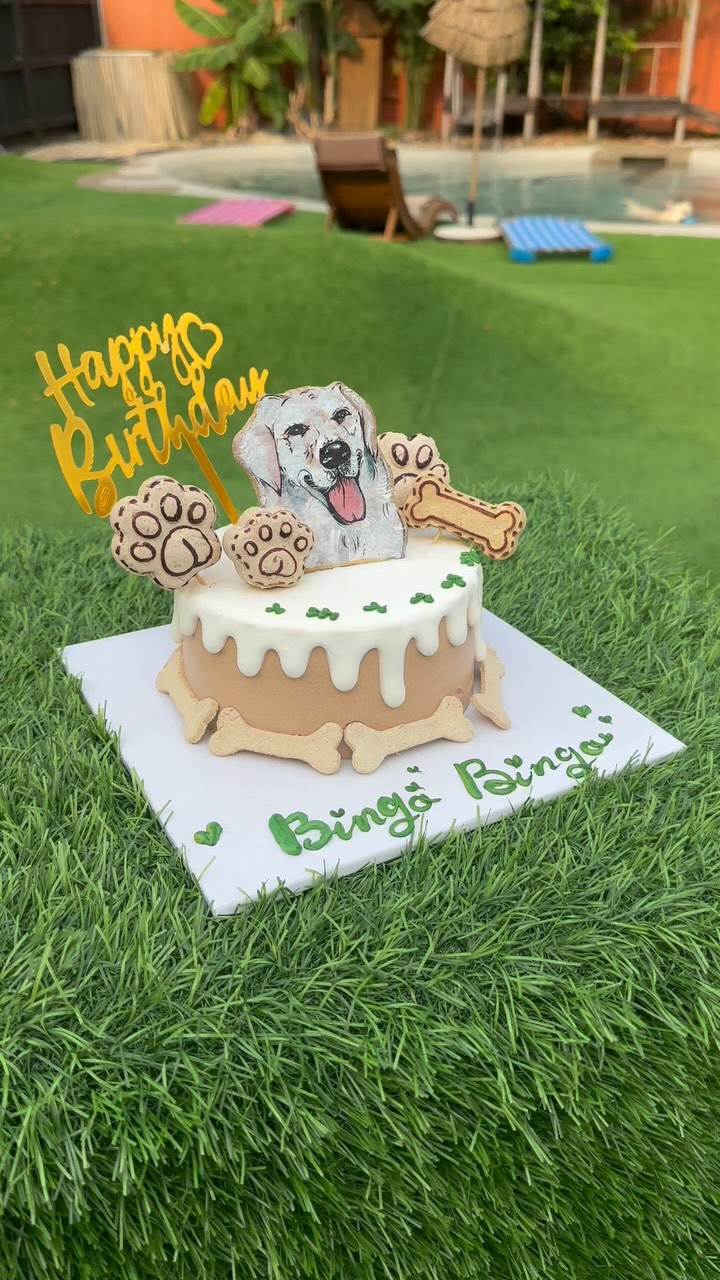 [🆕🇻🇳] PetBuddy – The Dog Resort 🐶🦜 Top1Pets 🐱🐠 Bingo’s birthday with his buddies. Let’s partyyy  , shares-0✔️ , likes-0❤️️ , date-2025-02-21 22:55:22🐶🐱🇻🇳🇻🇳🇻🇳📰🆕