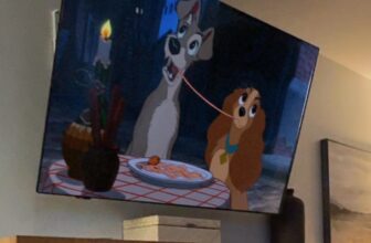 [🆕🇻🇳] Pet Piano 🐶🦜 Top1Pets 🐱🐠  , shares-0✔️ , likes-0❤️️ , date-🐶🐱🇻🇳🇻🇳🇻🇳📰🆕