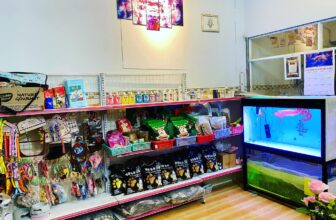 [🆕🇻🇳] ĐẬU PET SHOP 🐶🦜 Top1Pets 🐱🐠 Hạt ,thuốc nhuộm, sữa tắm trị nấm, cát v.v…
Đậu Pet shopNhận Spa Chó – Mèo
Nhận Đưa-Rước các bé fr , shares-1✔️ , likes-1❤️️ , date-2024-08-21 04:39:20🐶🐱🇻🇳🇻🇳🇻🇳📰🆕