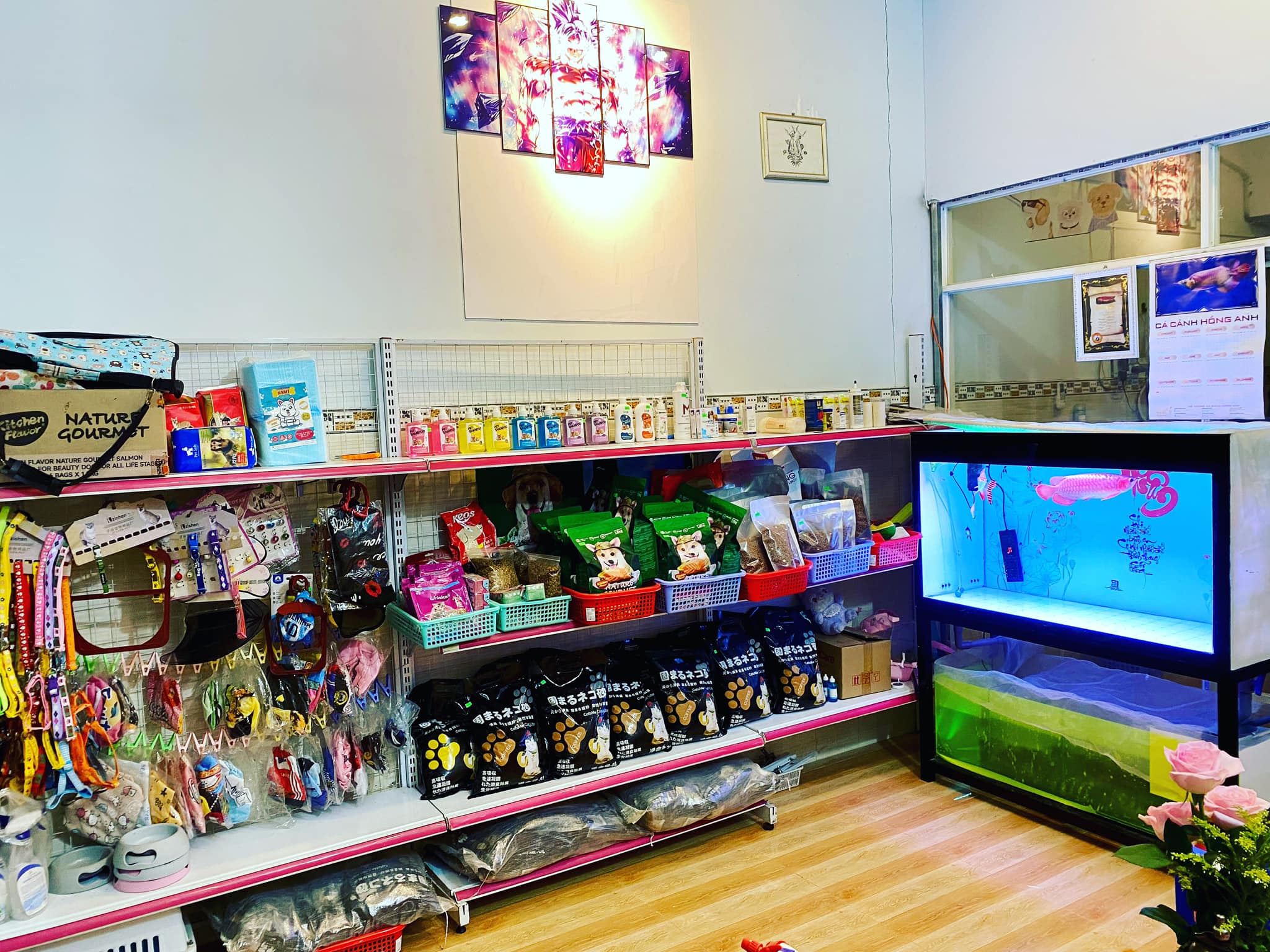 [🆕🇻🇳] ĐẬU PET SHOP 🐶🦜 Top1Pets 🐱🐠 Hạt ,thuốc nhuộm, sữa tắm trị nấm, cát v.v…
Đậu Pet shopNhận Spa Chó – Mèo
Nhận Đưa-Rước các bé fr , shares-1✔️ , likes-1❤️️ , date-2024-08-21 04:39:20🐶🐱🇻🇳🇻🇳🇻🇳📰🆕