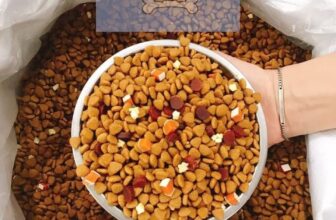 [🆕🇻🇳] QPet House – Thế giới phụ kiện và cắt tỉa dành cho thú cưng 🐶🦜 Top1Pets 🐱🐠  GIẢM GIÁ CUỐI NĂM! SALE 10% HẠT CAPTAIN CHO KHÁCH HÀNG ĐẶT HÀNG TRỰC TIẾP QUA PAGE
𝐇𝐚̣𝐭 𝐂𝐚𝐩𝐭𝐚𝐢𝐧 𝐝𝐚̀𝐧𝐡 𝐜𝐡𝐨 𝐦𝐨̣𝐢 𝐥𝐨𝐚̣𝐢 𝐜𝐮́𝐧 – đ𝐚̣̆𝐜 𝐛𝐢𝐞̣̂𝐭 𝐜𝐮́𝐧 𝐤𝐞́𝐧 𝐚̆𝐧
Hạt , shares-0✔️ , likes-3❤️️ , date-2023-01-08 16:40:37🐶🐱🇻🇳🇻🇳🇻🇳📰🆕