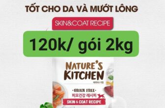 [🆕🇻🇳] Kem’s Pet Shop 🐶🦜 Top1Pets 🐱🐠 Thanh lý hạt Shakeat date 15/6/2024Dạng lon cho chó và mèo #30k/lon 185g
Dạng hộp cho chó và mèo #120k/ 1,2kg
Có 3 vị gà, cừu và thịt ngựa
Hạt ANF chức , shares-0✔️ , likes-1❤️️ , date-2024-04-13 18:43:08🐶🐱🇻🇳🇻🇳🇻🇳📰🆕