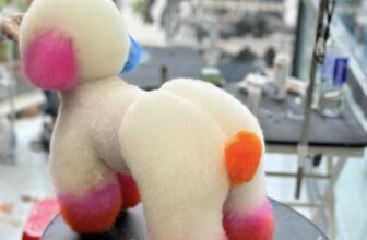 [🆕🇻🇳] Cutpet – Hotel & Spa Cắt Tỉa Lông Chó Mèo Thú Cưng Bình Dương 🐶🦜 Top1Pets 🐱🐠 Bên em có chụp hết tết rồi. Ba mẹ nhớ mang các bé qua để có ảnh đẹp nhéĐể đảm bảo chất lượng dịch vụ spa thú cưng tại Cutpet được tốt nhất , CUTPET xin  , shares-0✔️ , likes-3❤️️ , date-2025-01-20 18:31:35🐶🐱🇻🇳🇻🇳🇻🇳📰🆕