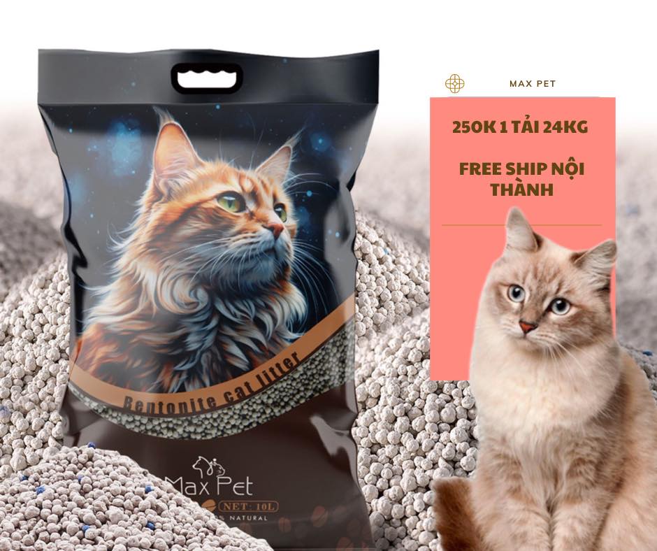 [🆕🇻🇳] Cát Vệ Sinh Cho Mèo Giá Rẻ Hà Nội  🐶🦜 Top1Pets 🐱🐠 Cát Vệ Sinh Cao Cấp ( HÀNG NHẬP KHẨU ) Cho Mèo
M A X     P E T
1 tải 24kg gồm có 3 túi 8 kg #249k/tải
#Miễn #Ship Nội thành Hà Nội
4 mùi hương, chanh, táo , shares-2✔️ , likes-23❤️️ , date-2024-09-05 00:52:05🐶🐱🇻🇳🇻🇳🇻🇳📰🆕