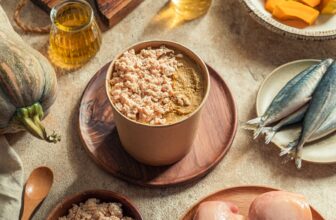 [🆕🇻🇳] The Cattitude – Homemade Pet Food 🐶🦜 Top1Pets 🐱🐠 Loay hoay lại một năm mới. Căn bếp vẫn luôn ngập mùi pate thơm lừng, những hộp soup siêu nhiều thịt. Mời sen lên đơn nha.Tiệm nấu và giao trong ngày. Hoặ , shares-13✔️ , likes-248❤️️ , date-2025-02-10 02:59:13🐶🐱🇻🇳🇻🇳🇻🇳📰🆕