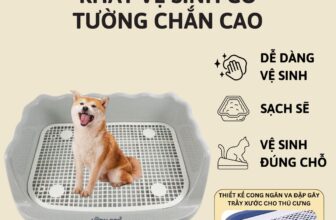 [🆕🇻🇳] Lady Pets – Luôn đồng hành cùng Sen 🐶🦜 Top1Pets 🐱🐠  “Boss” của bạn xứng đáng được chăm sóc tốt nhất – Bạn đã sẵn sàng thay đổi chưa?Bạn có biết? 90% người nuôi thú cưng từng phải “than trời” vì những phiề , shares-0✔️ , likes-4❤️️ , date-2024-11-18 15:59:51🐶🐱🇻🇳🇻🇳🇻🇳📰🆕