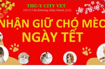 [🆕🇻🇳] Phòng khám Thú – Y CityVet Quận 12 🐶🦜 Top1Pets 🐱🐠 NHẬN ĐẶT LỊCH GIỮ THÚ CƯNG DỊP TẾT 2025
Tết đến rồi, Ba Mẹ đã tìm được nơi nào lưu giữ các bé chưa ạ?
Hãy tìm đến Phòng khám Thú – Y CityVet Quận 12
C , shares-0✔️ , likes-1❤️️ , date-2025-01-09 20:24:56🐶🐱🇻🇳🇻🇳🇻🇳📰🆕