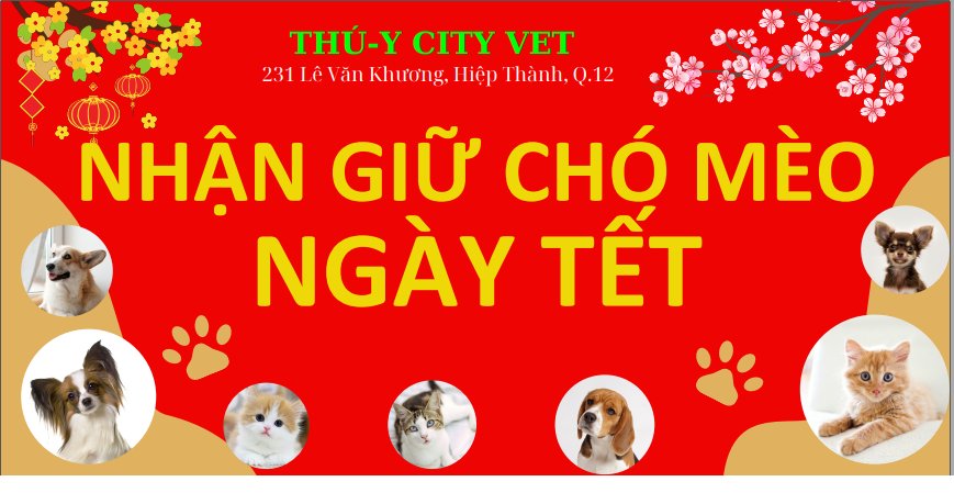 [🆕🇻🇳] Phòng khám Thú – Y CityVet Quận 12 🐶🦜 Top1Pets 🐱🐠 NHẬN ĐẶT LỊCH GIỮ THÚ CƯNG DỊP TẾT 2025
Tết đến rồi, Ba Mẹ đã tìm được nơi nào lưu giữ các bé chưa ạ?
Hãy tìm đến Phòng khám Thú – Y CityVet Quận 12
C , shares-0✔️ , likes-1❤️️ , date-2025-01-09 20:24:56🐶🐱🇻🇳🇻🇳🇻🇳📰🆕