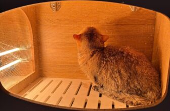 [🆕🇻🇳] Lồng Sấy Chó Mèo Cao Cấp – Tổng Kho 🐶🦜 Top1Pets 🐱🐠 Feedback của khách hàng khi dùng mạch mới là rất tốt ạ
, shares-0✔️ , likes-2❤️️ , date-2024-12-16 20:24:31🐶🐱🇻🇳🇻🇳🇻🇳📰🆕