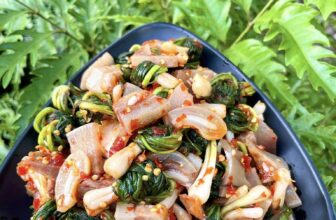 [🆕🇻🇳] Gân kiệu Nhất Huế 🍔 Top1Food  🍜  𝔾Âℕ 𝕂𝕀Ệ𝕌 ℕℍẤ𝕋 ℍ𝕌Ế#GÂNKIỆUĐẶCBIỆT :Khay ăn liền phần 50k – 120k
:Thẩu 100k 140k
#CÓCmixMépBò : khay ăn liền ph , shares-1✔️ , likes-39❤️️ , date-2025-03-26 16:28:05🇻🇳🇻🇳🇻🇳📰🆕