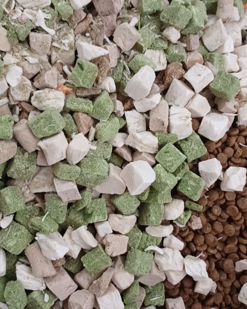 [🆕🇻🇳] Psmilevietnam – Thương hiệu chăm sóc thú cưng hàng đầu Việt Nam 🐶🦜 Top1Pets 🐱🐠 Bình luận đã bị tắt cho bài viết này.
, shares-0✔️ , likes-2❤️️ , date-2025-03-26 14:42:55🐶🐱🇻🇳🇻🇳🇻🇳📰🆕