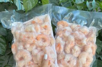 [🆕🇻🇳] Chợ Quê Hải Sản – chuyên cung cấp chả cá nha trang và các loại hải sản tươi sống 🍔 Top1Food  🍜  Nõn tôm bóc vỏ tươi 160k/ký lớn
Ib 0909837512
, shares-0✔️ , likes-5❤️️ , date-2025-01-12 21:18:51🇻🇳🇻🇳🇻🇳📰🆕