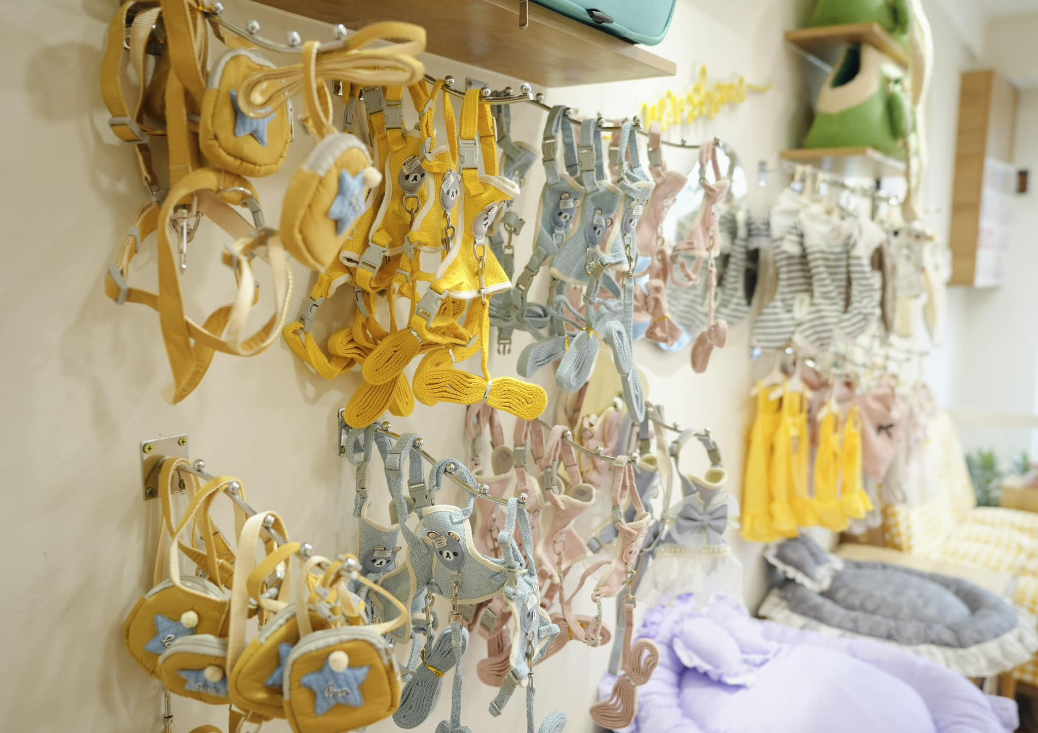 [🆕🇻🇳] Dog Salon MoMo & Academy – Studio – Spa – Hotel – Academy 🐶🦜 Top1Pets 🐱🐠 DOG SALON MOMO – NGÔI NHÀ THÚ CƯNG.
Dạo quanh một vòng nhà MOMO xem có gì nào.Không gian spa mở, giúp các bé không bị căng thẳng khi đến spa. Bố mẹ có t , shares-11✔️ , likes-14❤️️ , date-2023-09-18 20:54:07🐶🐱🇻🇳🇻🇳🇻🇳📰🆕