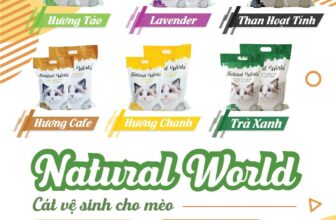 [🆕🇻🇳] Cát Vệ Sinh Cho Mèo Giá Rẻ Hải Phòng 🐶🦜 Top1Pets 🐱🐠 #SALEOFF #FREESHIP NỘI THÀNH HÀ NỘI
CÁT VỆ SINH CHO MÈO 100% BENTONITE TỰ NHIÊN
1 tải 06 bao  (4Kgx6 =24Kg)
– Thấm hút chất thải, vón cục tốt
– Khử mùi hiệ , shares-0✔️ , likes-2❤️️ , date-2025-03-03 16:44:54🐶🐱🇻🇳🇻🇳🇻🇳📰🆕