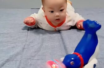 [🧸️🇻🇳] Baby Shark Shop – Đồ chơi thông minh – đồ chơi trí tuệ cho bé, Baby Shark Shop 🎈Top1Toys🧸️  Đây không chỉ là đồ chơi, mà còn là người bạn đầu đời của béĐồ chơi Chú hải cẩu xoay bóng  – đồ chơi giúp bé phát triển tối ưu:
Màu sắc sinh động kích , shares-0✔️ , likes-0❤️️ , date-2025-04-11 17:50:27🇻🇳🇻🇳🇻🇳📰🆕