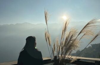 [🆕🇻🇳] Ngôi Nhà Cho Thú Cưng 🐶🦜 Top1Pets 🐱🐠 Chúng Tôi chuyên Thiết kế Thi Công Nội Thất
, shares-0✔️ , likes-2❤️️ , date-2023-12-25 16:11:34🐶🐱🇻🇳🇻🇳🇻🇳📰🆕