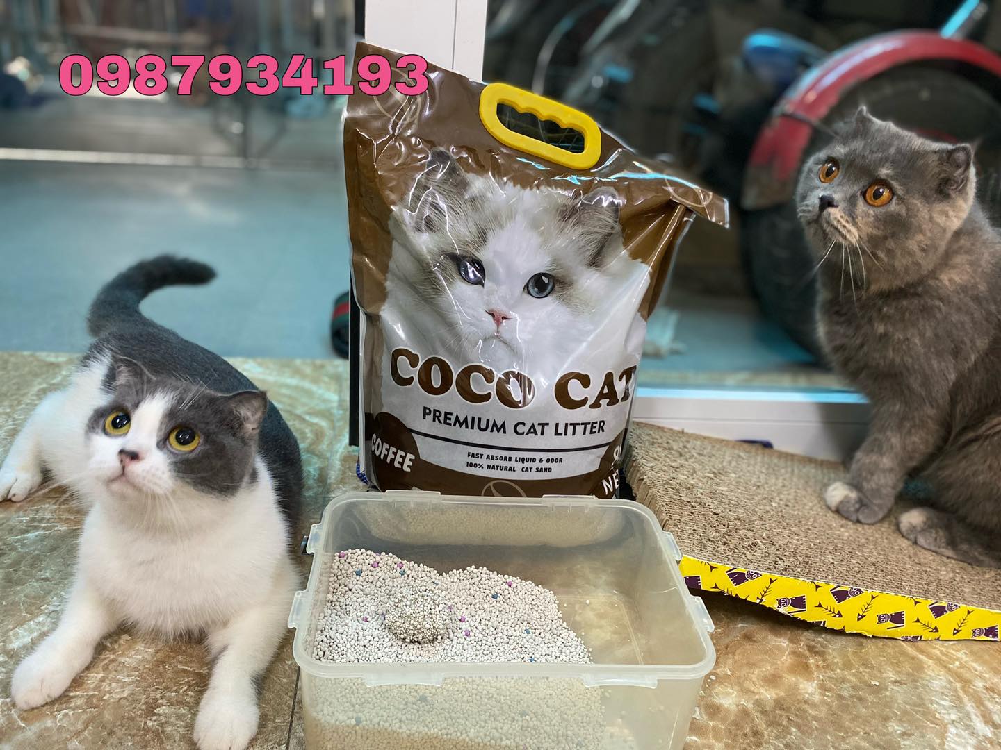 [🆕🇻🇳] Baby Box – Chuyên hàng Authentic các thương hiệu Carter, Tuclothing, Ne 🧑‍🧒❤️️👶⭐️ 𝐒𝐀̆𝐍 𝐒𝐀 𝐋𝐄 𝐂𝐔𝐎̂́𝐈 𝐓𝐔𝐀̂̀𝐍 𝐂𝐀́𝐂 𝐁𝐀́𝐂 𝐔̛𝐈
Mời ba mẹ join gr để cập nhật mẫu sale mới nhất ạ  , shares-0✔️ , likes-0❤️️ , date-2024-06-23 16:36:41🇻🇳🇻🇳🇻🇳📰🆕