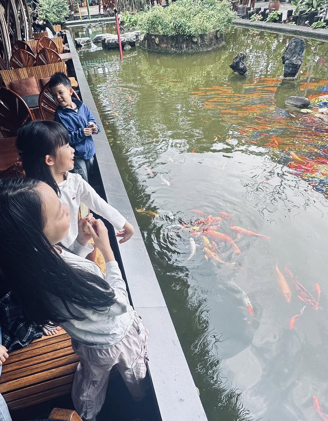 [☕️🇻🇳] CoCo’s Coffee 🥤 Top1Coffee ☕️ Vui đùa bên hồ cá, cùng nhau thì thầm những câu chuyện nhỏ to, thả xuống nước những viên thức ăn và chờ đàn cá tung tăng kéo tới , shares-2✔️ , likes-12❤️️ , date-2025-04-14 14:21:07🇻🇳🇻🇳🇻🇳📰🆕