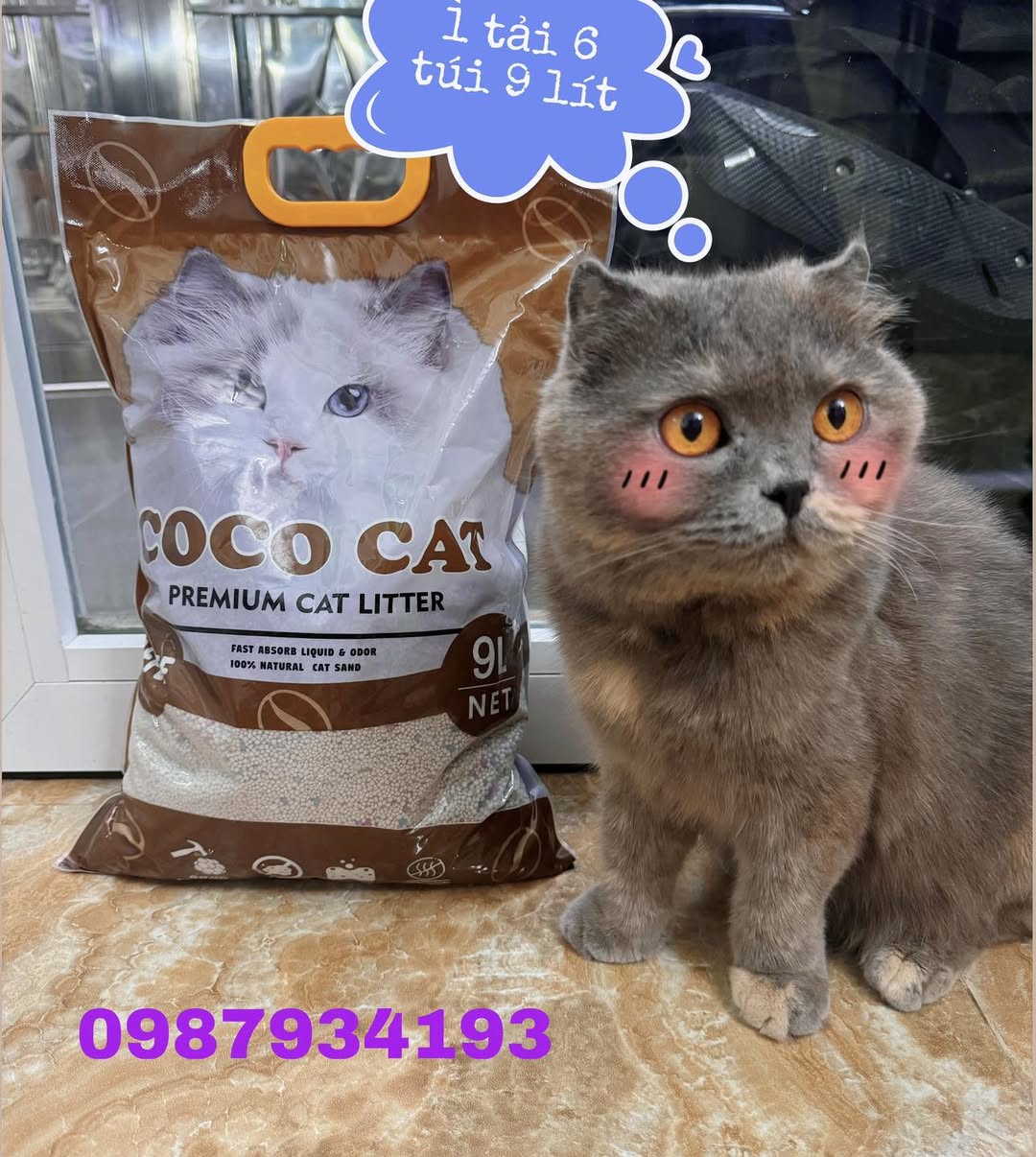 [🆕🇻🇳] Cát Mèo Giá Rẻ Hà Nội 🐶🦜 Top1Pets 🐱🐠 -Coco cat với 2 mùi Nhài và Caphe nay đã được thêm trọng lượng so với đợt cũ nhưng giá vẫn không đổi.Độ hút vón khử mùi tốt
1 túi 9 lít : 55k
1 tải 6 túi , shares-0✔️ , likes-0❤️️ , date-2024-09-24 23:40:45🐶🐱🇻🇳🇻🇳🇻🇳📰🆕